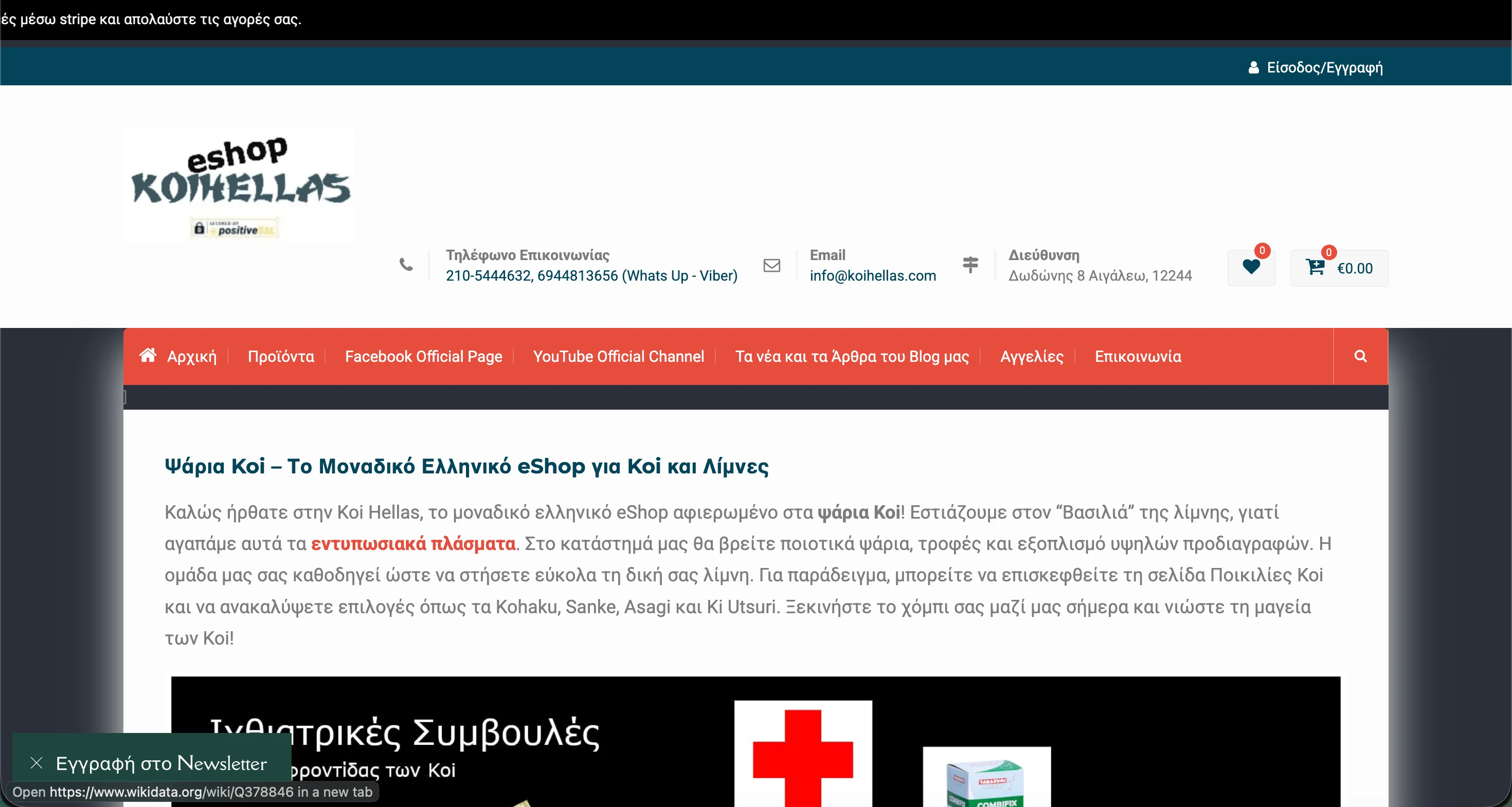 Screenshot από το website της Koi Hellas με e-commerce παρουσίαση προϊόντων
